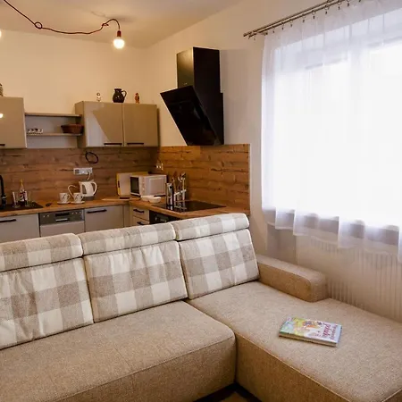 - 3br, Kitchen & Living * Žacléř